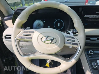 2024 Hyundai Palisade Limited - miniatura 10