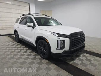 2024 Hyundai Palisade XRT – miniatura 3