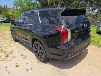 2024 Hyundai Palisade XRT – miniatura 2