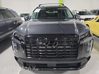2024 Hyundai Palisade XRT - miniatura 2