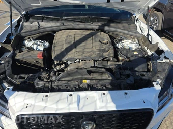 2024 Jaguar F-PACE R-Dynamic S – miniatura 15