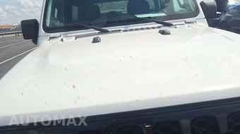 2024 Jeep Wrangler 4 Door Willys - miniatura 20