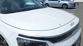 2024 Kia Niro EV Wave - miniatura 18