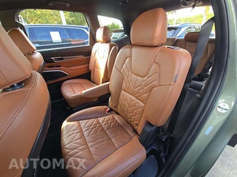 2024 Kia Telluride EX X-Line - miniatura 13