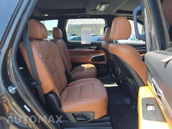 2024 Kia Telluride SX X-Line - miniatura 17