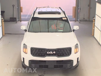 2024 Kia Telluride X-Line w/Terracotta Brown Leather - miniatura 2