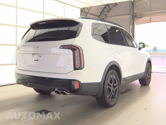 2024 Kia Telluride X-Line w/Terracotta Brown Leather - miniatura 4