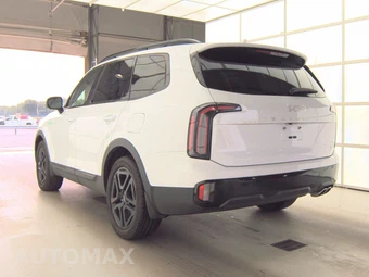 2024 Kia Telluride X-Line w/Terracotta Brown Leather - miniatura 6