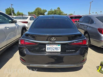 2024 Lexus ES 300h - miniatura 5