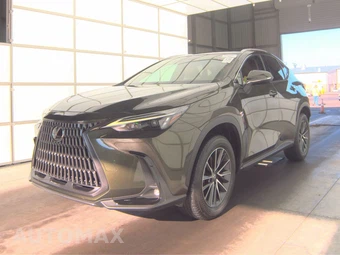2024 Lexus NX 250