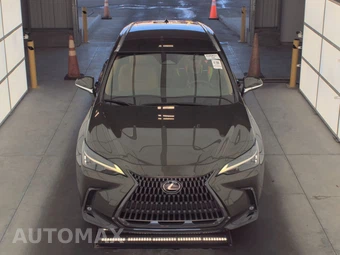 2024 Lexus NX 250 - miniatura 2