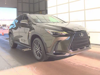 2024 Lexus NX 250 - miniatura 3