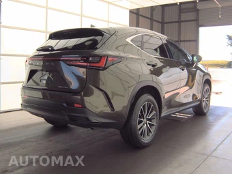2024 Lexus NX 250 - miniatura 4