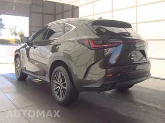 2024 Lexus NX 250 - miniatura 6