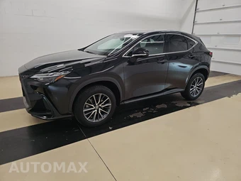 2024 Lexus NX 250