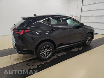 2024 Lexus NX 250 – miniatura 4