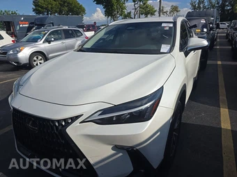 2024 Lexus NX 250