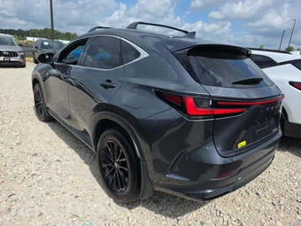 2024 Lexus NX 250 Premium – miniatura 2