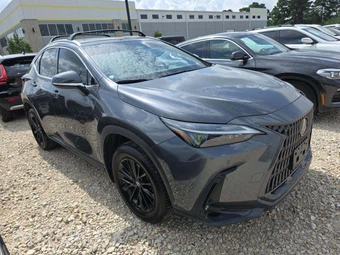 2024 Lexus NX 250 Premium – miniatura 4