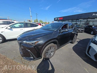 2024 Lexus NX 250 Premium
