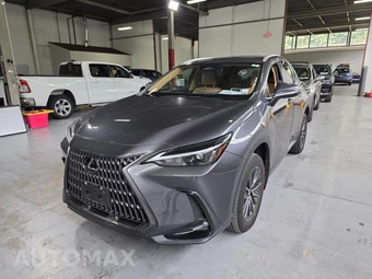 2024 Lexus NX 350