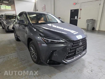 2024 Lexus NX 350 - miniatura 10