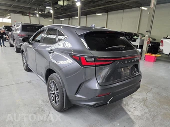 2024 Lexus NX 350 - miniatura 13