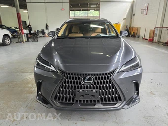 2024 Lexus NX 350 - miniatura 16