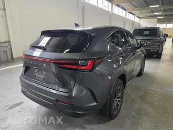 2024 Lexus NX 350 - miniatura 2