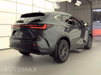 2024 Lexus NX 350 - miniatura 4