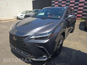 2024 Lexus NX 350