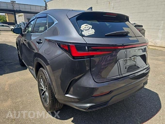 2024 Lexus NX 350 - miniatura 2