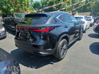 2024 Lexus NX 350 – miniatura 4