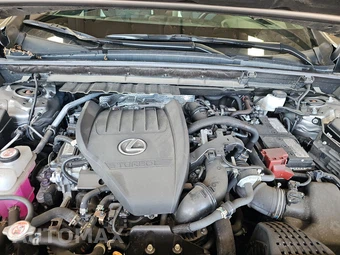 2024 Lexus NX 350 - miniatura 15