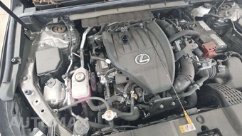 2024 Lexus NX 350 - miniatura 17