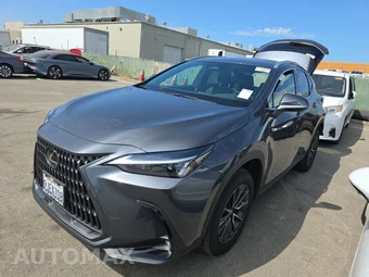 2024 Lexus NX 350
