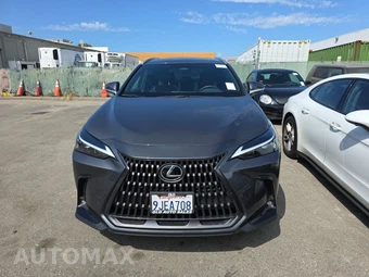 2024 Lexus NX 350 – miniatura 2