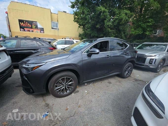 2024 Lexus NX 350