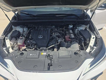 2024 Lexus NX 350 F SPORT Handling - miniatura 21