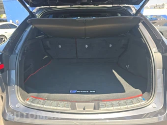 2024 Lexus NX 350 F SPORT Handling - miniatura 16