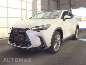 2024 Lexus NX 350 Luxury