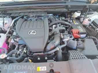 2024 Lexus NX 350 Luxury - miniatura 15