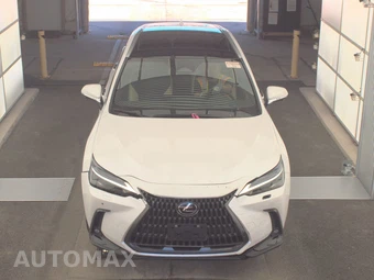 2024 Lexus NX 350 Luxury - miniatura 2