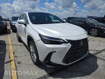 2024 Lexus NX 350 Luxury - miniatura 3