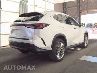2024 Lexus NX 350 Luxury - miniatura 4