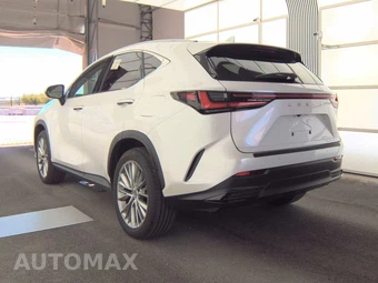2024 Lexus NX 350 Luxury - miniatura 6