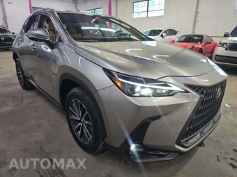 2024 Lexus NX 350 Premium - miniatura 4