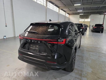 2024 Lexus NX 350 Premium – miniatura 2