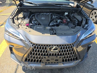 2024 Lexus NX 350 Premium - miniatura 15