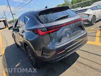 2024 Lexus NX 350 Premium - miniatura 6